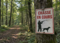 Ouverture de la chasse